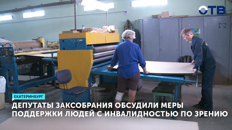 Депутаты Заксобрания обсудили меры поддержки людей с инвалидностью по зрению