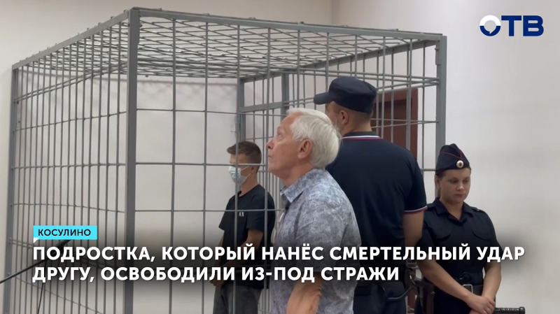 Подростка, который нанёс смертельный удар другу, освободили из-под стражи