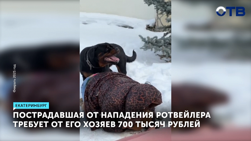 Екатеринбурженка требует компенсацию больше 700 тысяч рублей за нападение ротвейлера