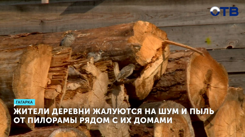 Жители Гагарки жалуются на шум и пыль от пилорамы, расположенной рядом с их домами