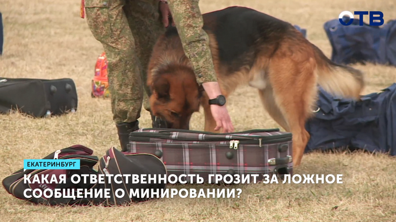 Какая ответственность грозит за ложное сообщение о минировании?