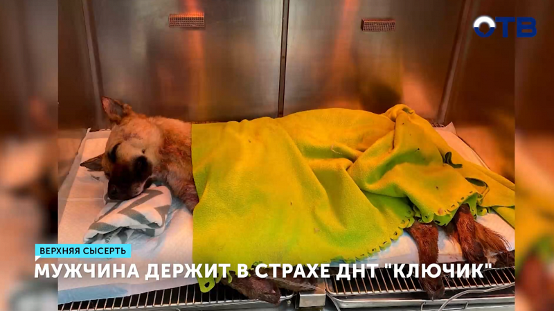 Мужчина держит в страхе ДНТ «Ключик»