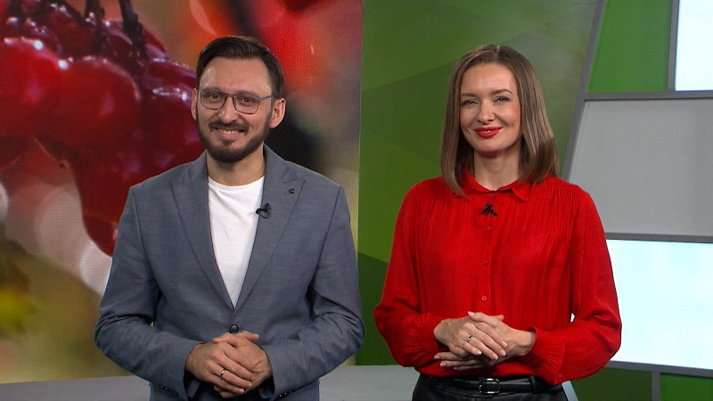 Выпуск «Свердловского утра» от 27.10.2025
