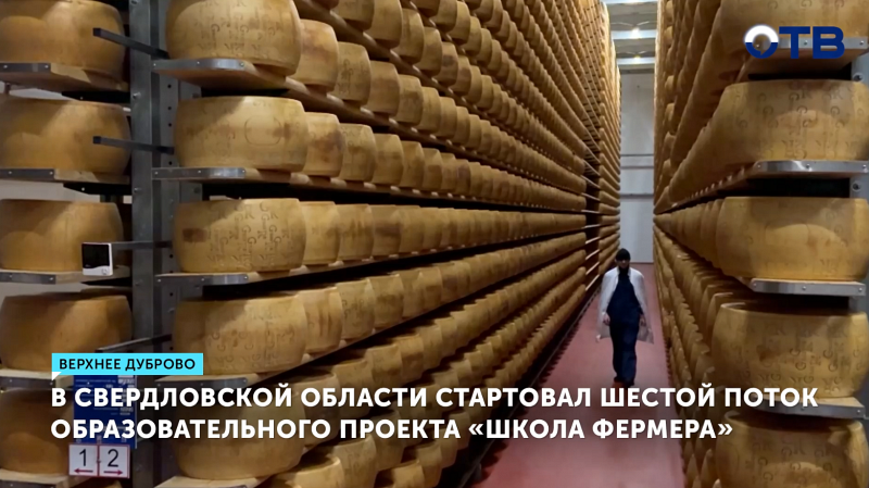 Секреты приготовления сыра узнали участники проекта «Школа фермера»
