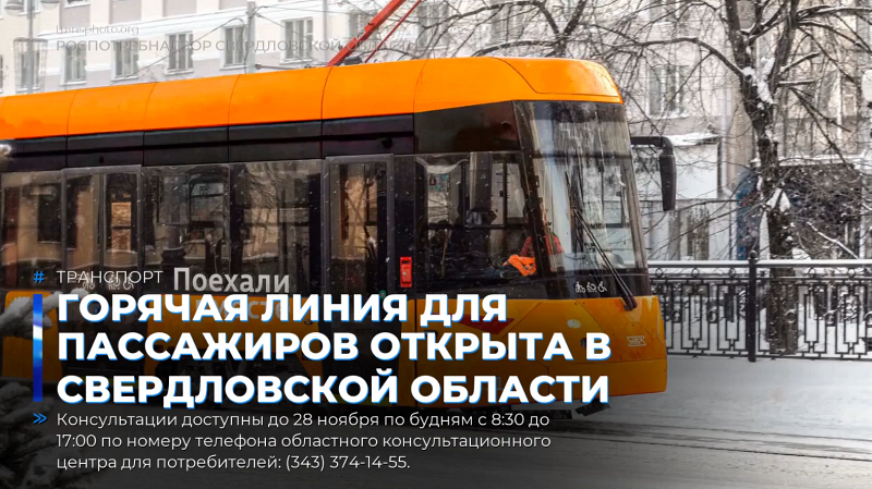 Горячая линия для пассажиров открыта в Свердловской области
