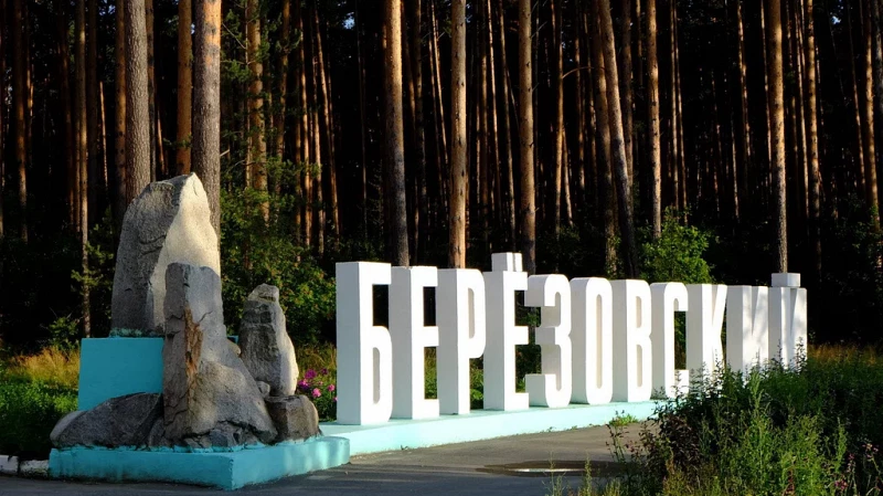 В Березовском до сентября будет работать приездной лор из Екатеринбурга