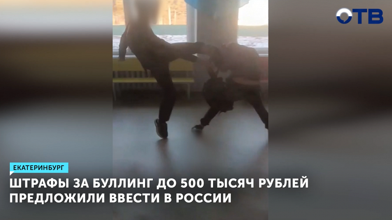 Штрафы за буллинг до 500 тысяч рублей предложили ввести в России