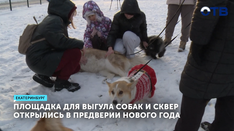 В Екатеринбурге открыли большую площадку для выгула собак