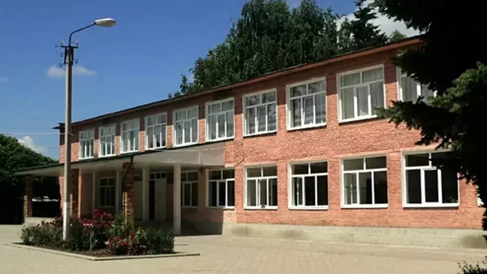 Подросток выстрелил в висок однокласснице из пневмата в школе в Зайково