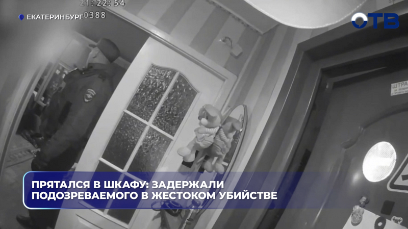 Прятался в шкафу: задержали подозреваемого в жестоком убийстве