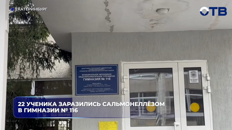 22 ученика заразились сальмонеллёзом в гимназии № 116