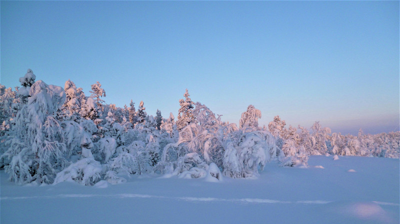 В Свердловской области мороз достиг -39 градусов