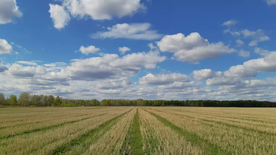 Свердловские аграрии выполнили 85% плана по посевной