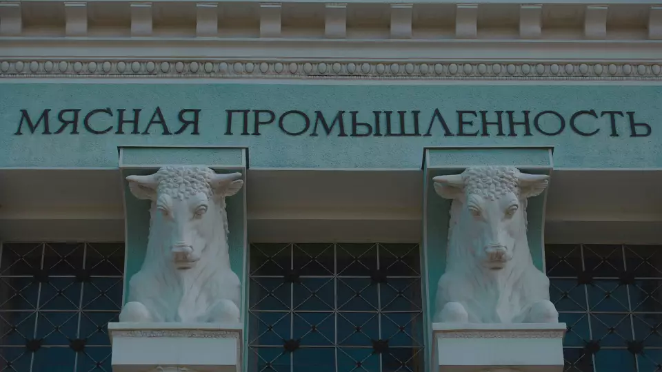 Обман природы: уральские учёные создали корову с помощью генной инженерии