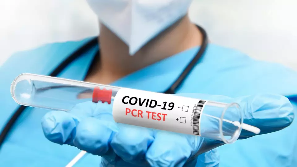 Действие ПЦР-теста на COVID-19 сокращено до 48 часов из-за «Омикрона»