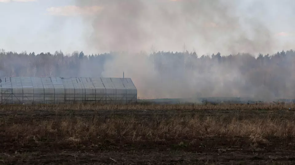 Гендиректор уральской птицефабрики оштрафован на 150 тыс. рублей за загрязнение почв куриным помётом