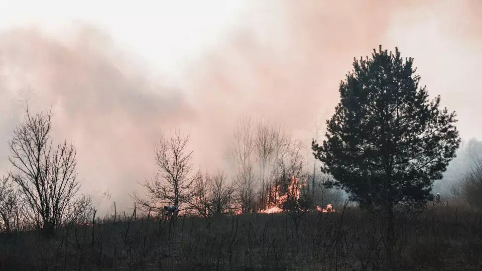 Режим ЧС введён в микрорайоне Солнечный из-за тлеющего торфяника
