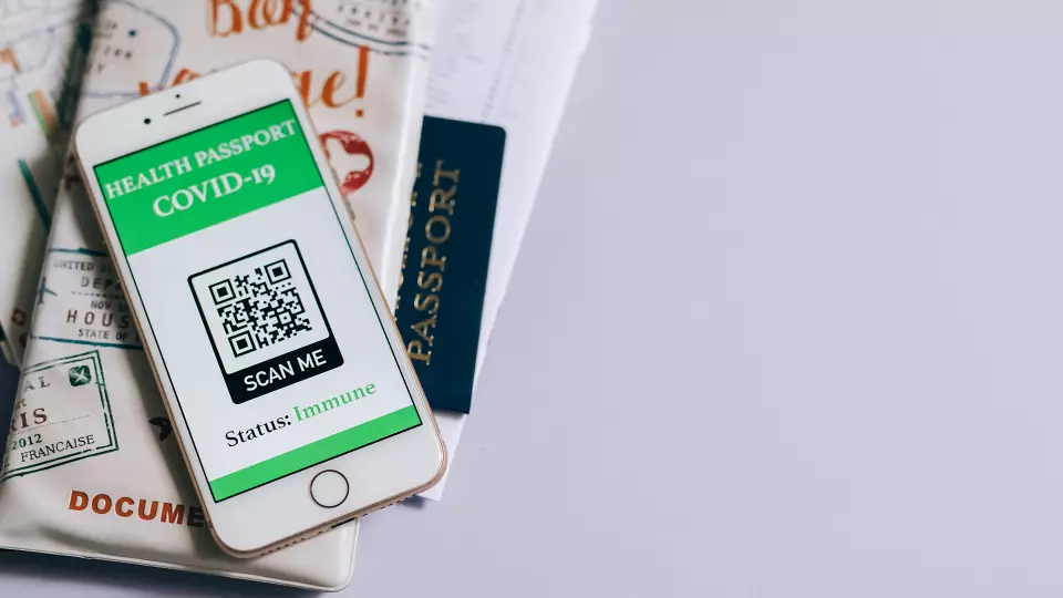 Минцифры России запустило отдельное приложение для автомобилистов