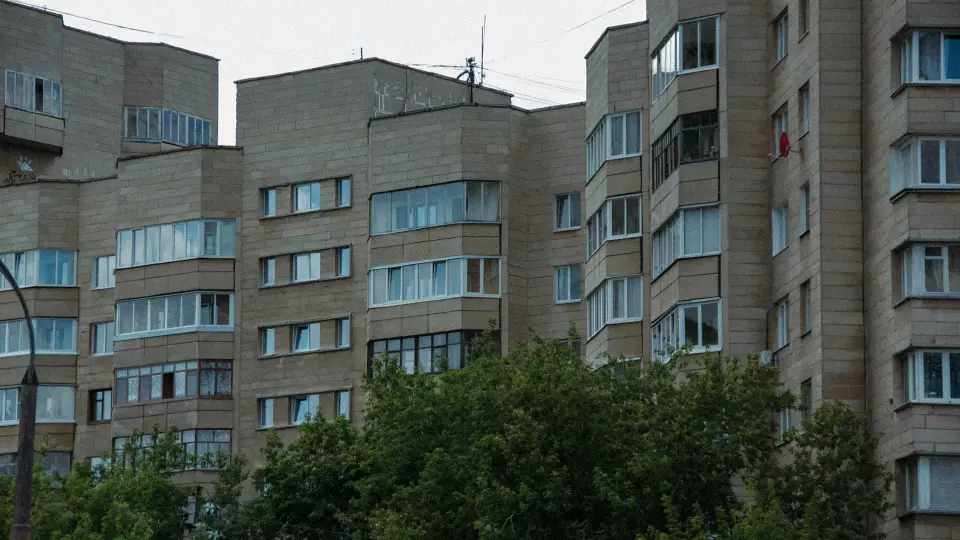 Художника Тимофея Радю обязали отработать 39 часов за участие в несанкционированном митинге
