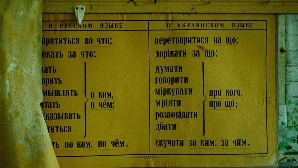 В России логику могут ввести в школьную программу
