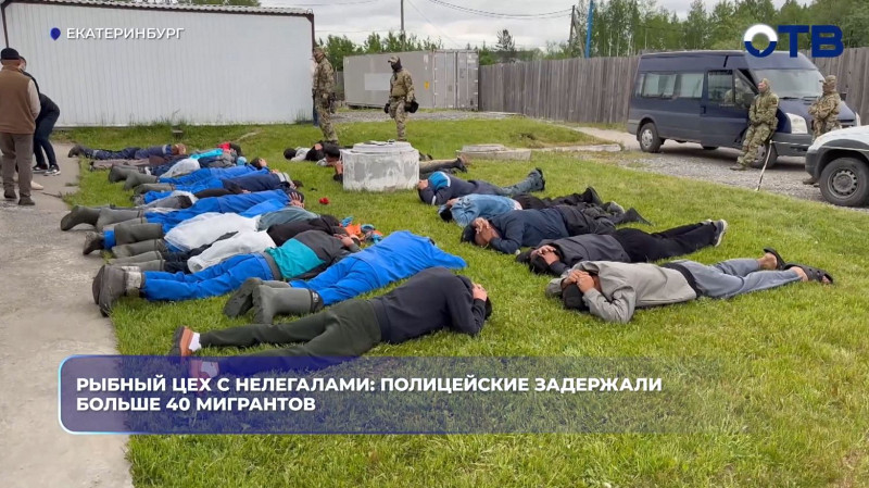 В рыбных цехах в Екатеринбурге задержали более 40 мигрантов