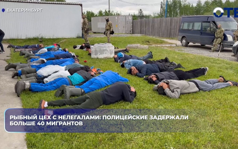 В рыбных цехах в Екатеринбурге задержали более 40 мигрантов