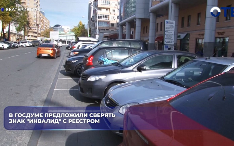 В Госдуме предложили сверять знак «Инвалид» с реестром