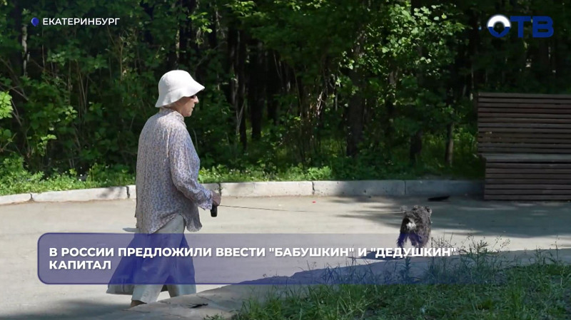 В России предложили ввести «бабушкин» и «дедушкин» капитал