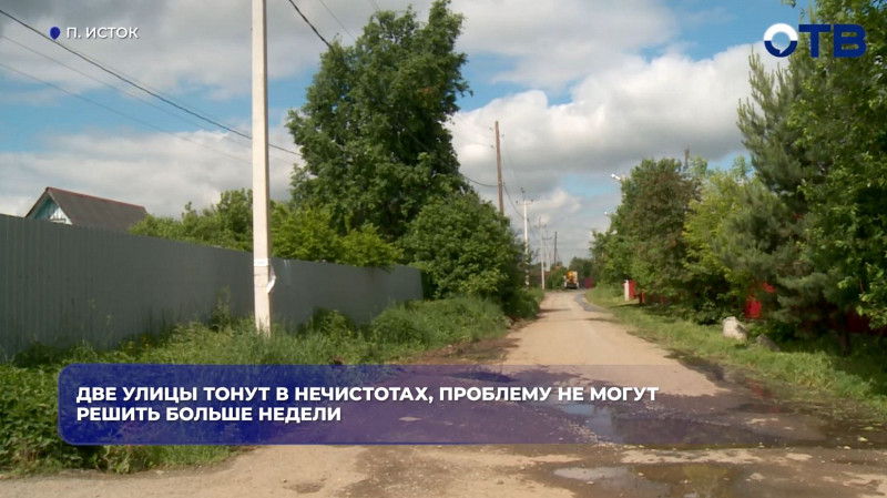 В посёлке Исток нечистоты затопили дома из-за поврежденной трубы