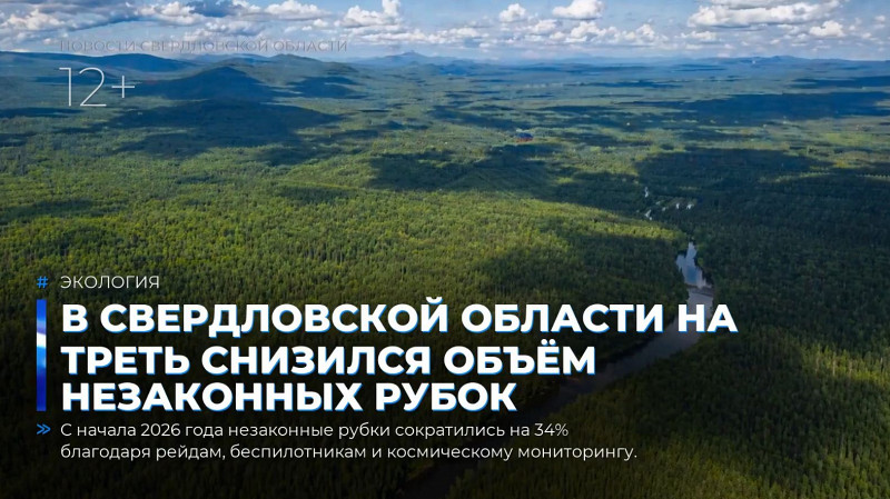 В Свердловской области на треть снизился объём незаконных рубок