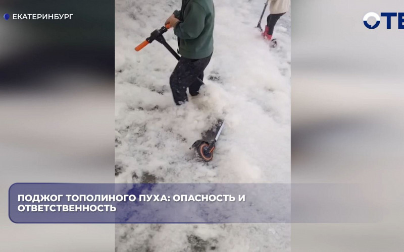 МЧС предупредило об опасности поджога тополиного пуха на Урале