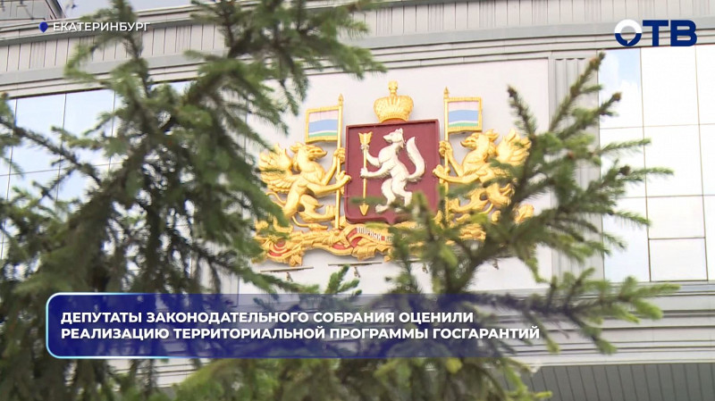 Депутаты Законодательного собрания оценили реализацию территориальной программы госгарантий