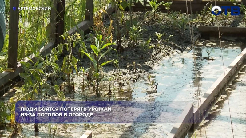 Огороды в Артёмовском ушли под воду: подтоплены больше 10 участков