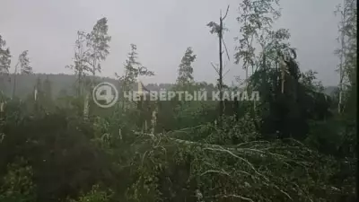 Поезда в Кушве встали из-за поваленных деревьев и опорных столбов