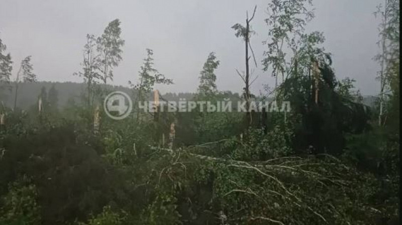 Поезда в Кушве встали из-за поваленных деревьев и опорных столбов