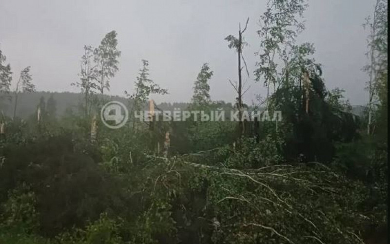 Поезда в Кушве встали из-за поваленных деревьев и опорных столбов
