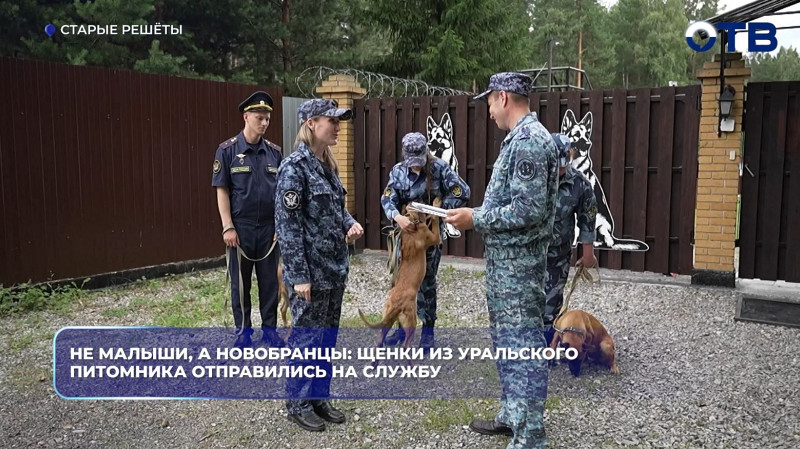 Щенки из уральского питомника отправились на службу в Башкортостан