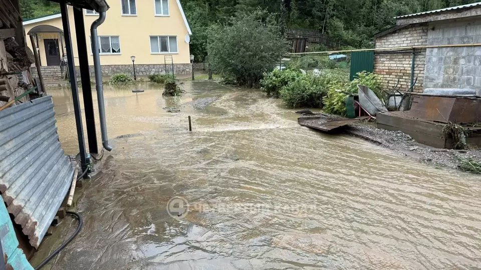 25 домов в Нижних Сергах остались без газа и света после потопа: жители всю ночь спасали детей и животных
