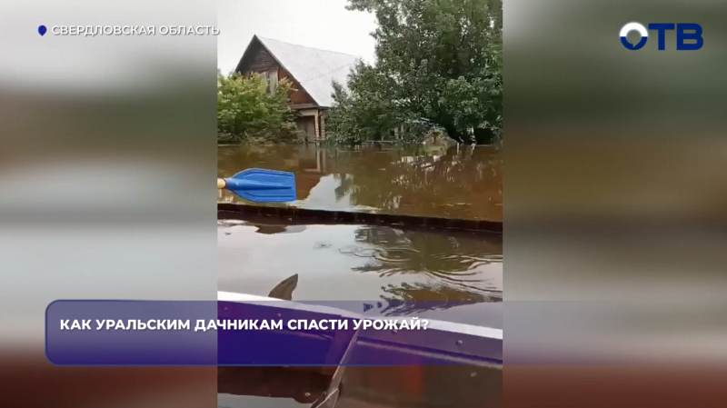 Уральские дачники теряют урожай из-за паводков и ливней