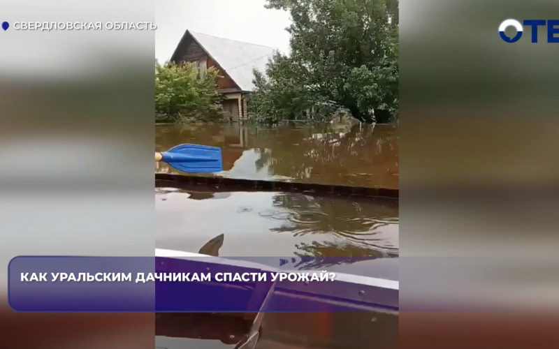Уральские дачники теряют урожай из-за паводков и ливней