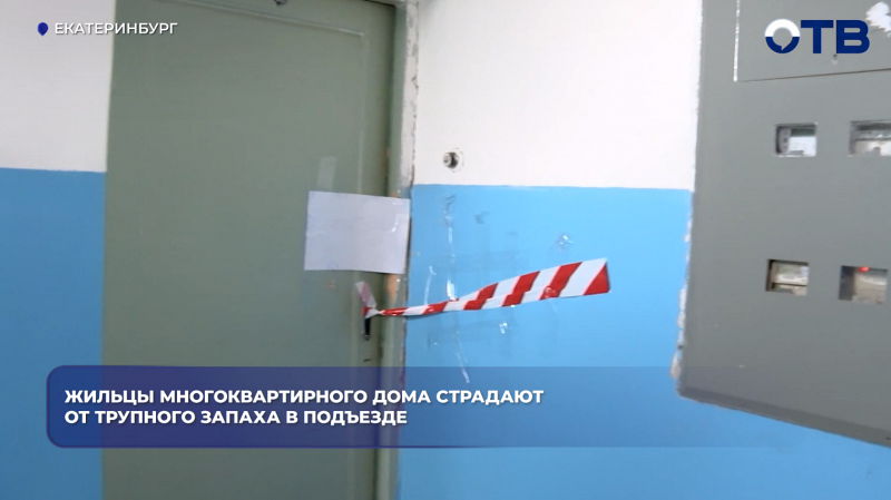 Жильцы дома в Чкаловском районе более недели страдают от трупного запаха
