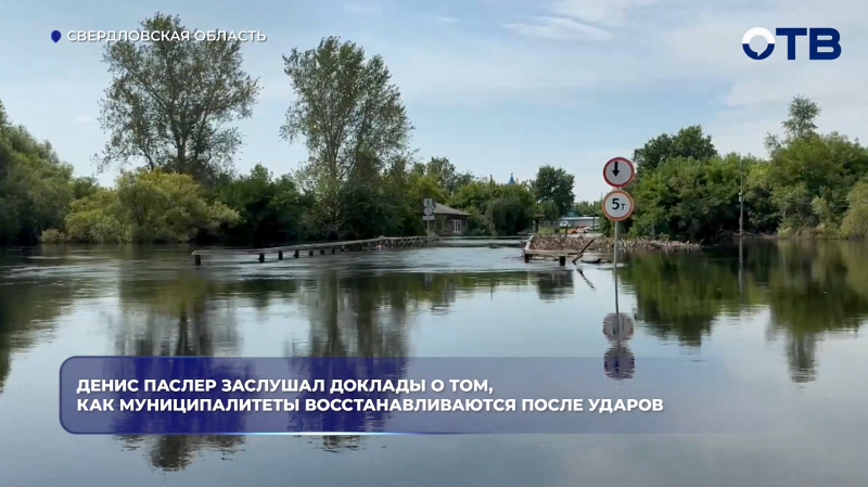Губернатор  Денис Паслер обсудил с министром ситуацию с паводком в Ирбите и других территориях