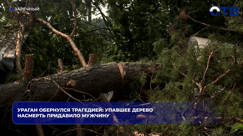В Заречном во время урагана упавшее дерево насмерть придавило 74-летнего дачника