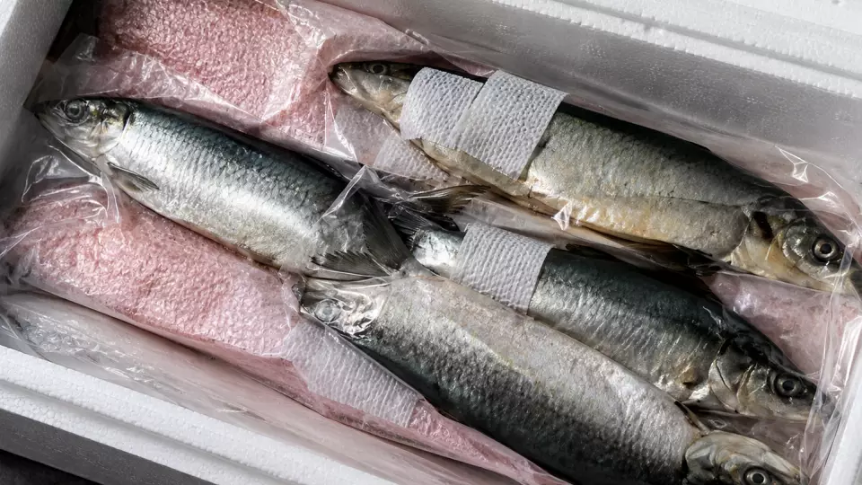 Из Свердловской области в ОАЭ отправили более 300 кг рыбы и морепродуктов