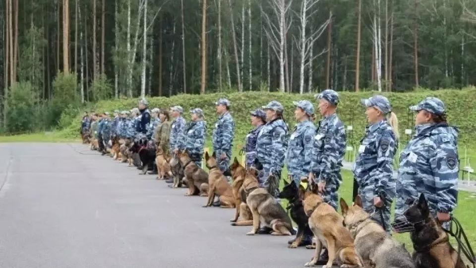 В Екатеринбурге 35 кинологов посоревнуются в поиске оружия и наркотиков