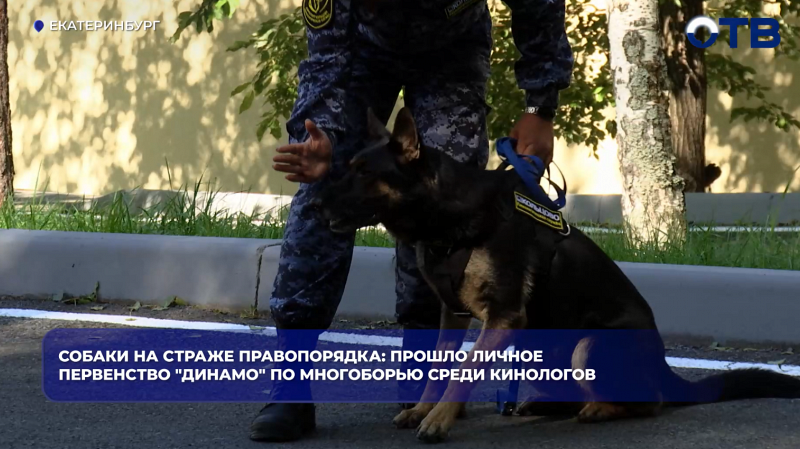 Собаки на страже правопорядка: прошло личное первенство "Динамо" по многоборью среди кинологов