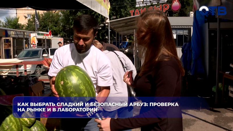 Как выбрать сладкий и безопасный арбуз: проверка на рынке и в лаборатории