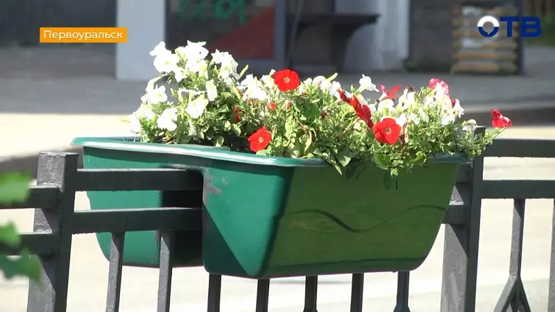 В Первоуральске ухаживают за 11 тысячами цветов