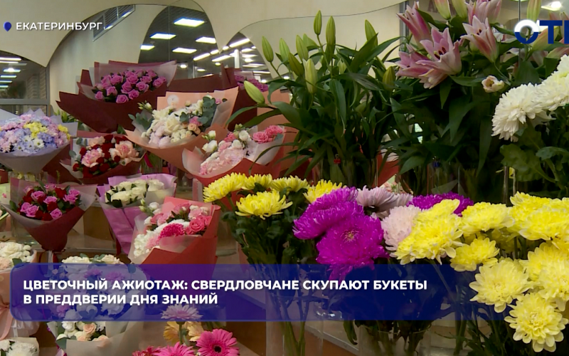 Цветочный ажиотаж: свердловчане скупают букеты в преддверии Дня знаний
