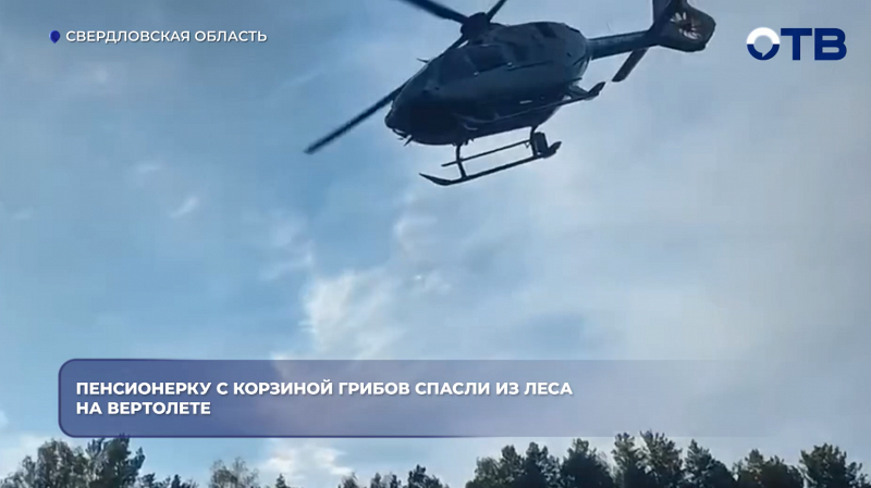 Пенсионерку с корзиной грибов спасли из леса на вертолете